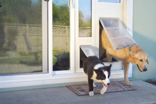 Dog Door for Sliding Glass Door