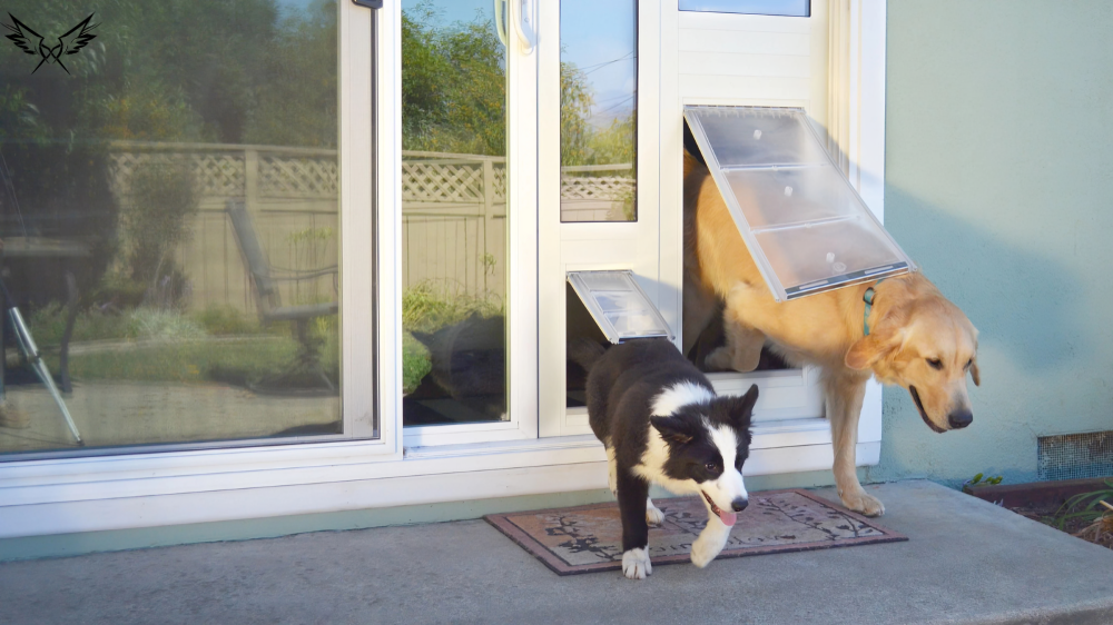 Dog Door for Sliding Glass Door