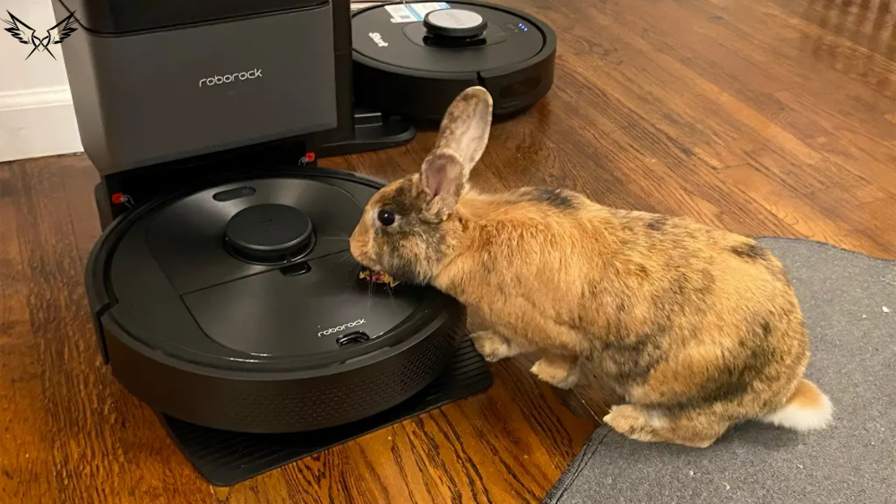 iRobot Roomba Combo J8 Enhanced Robot Vacuum