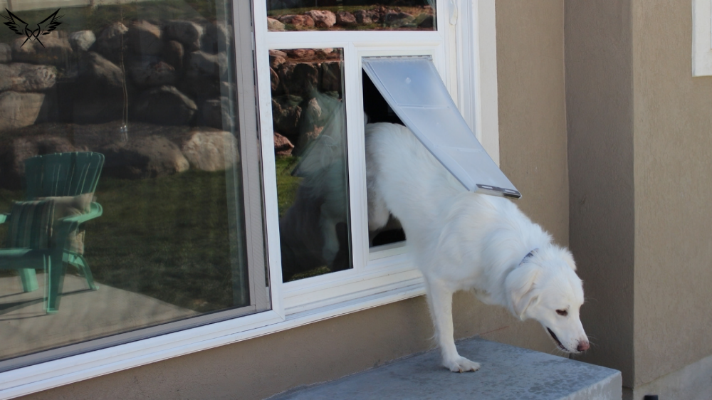 Dog Door for Sliding Glass Door