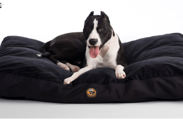 Indestructible Dog Bed