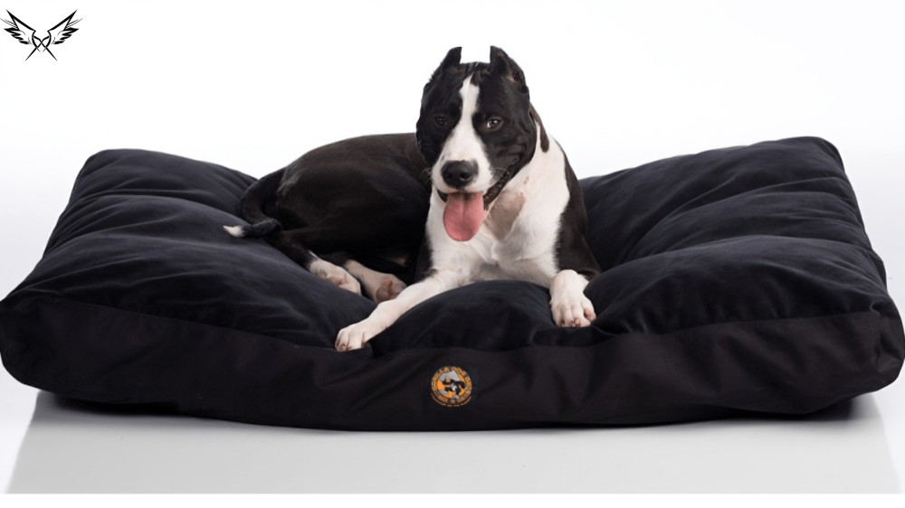 Indestructible Dog Bed